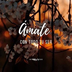 Meet your Posher, Anay